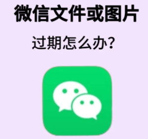 怎么把微信过期文件恢复 微信过期文件恢复方法